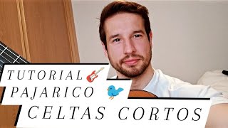 PAJARICO CELTAS CORTOS TUTORIAL GUITARRA ACORDES FACIL 🎸 COMO TOCAR PAJARICO TABS CELTAS ✅