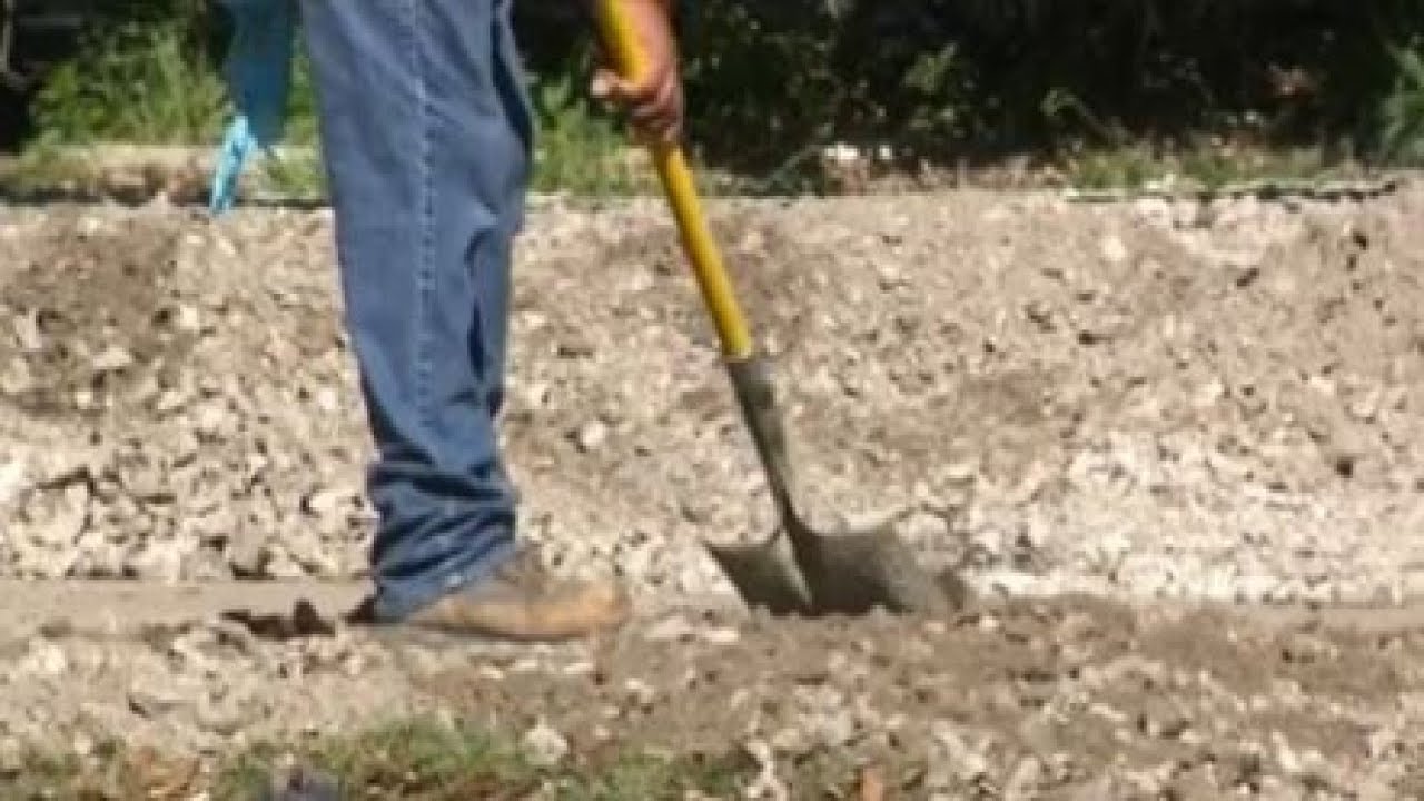 City aims to make Houston more walkable and transit-oriented