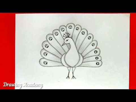 How to draw peacock in easy steps || Easy Drawing Peacock #peacock