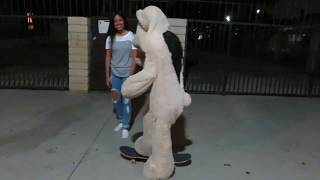 GOING INTO A TEDDY BEAR