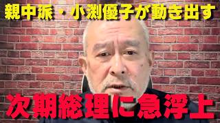 「減税反対」を訴える親中派・小渕優子氏の思惑とは？次期総理候補に名乗りをあげる党内暗闘のリアル【非公式日本保守党切り抜き】＃日本保守党  ＃保守党   ＃百田尚樹