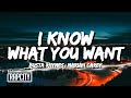 Busta Rhymes, Mariah Carey - I Know What You Want (Lyrics) ft. Flipmode Squad