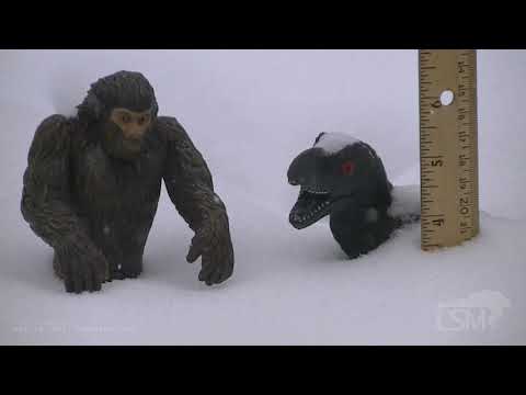 02-15-2021 St. Louis, MO - St. Louis Faces Record Breaking Deep Freeze and Several Inches of Snow