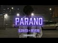 Parano Frozy Slowed Reverb