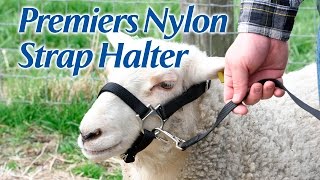 Premier's Nylon Strap Halter