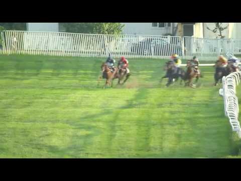 2016.06.02 Norsk 2000 Guineas - Our Last Summer