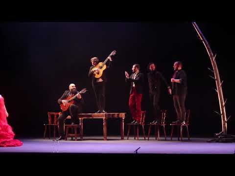 Olga Pericet; La espina que quiso ser flor o la flor que soñó con ser bailaora.