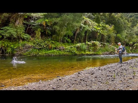 Exploring new Backcountry water Fly Fishing for Trout