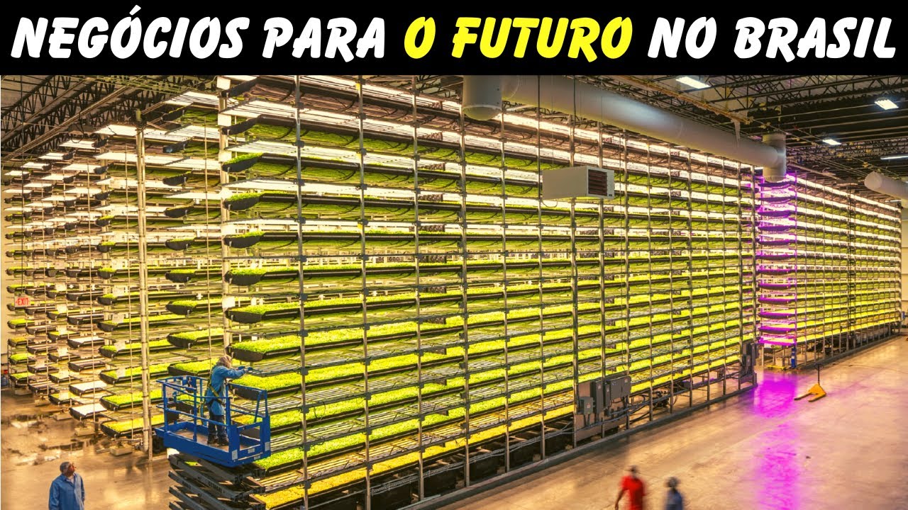 7 NEGÓCIOS QUE VÃO DAR MUITO DINHEIRO NO FUTURO