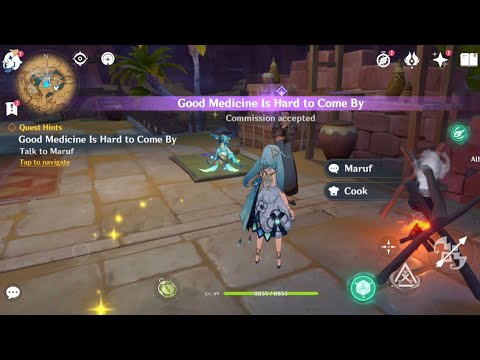 [Genshin Impact] Daily Commission Quest • Good Medicine Is Hard to Come By (correct sequence)