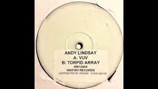 Andy Lindsay – Torpid Array (2001)