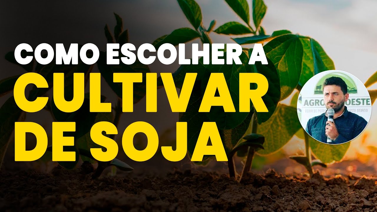 ESCOLHA A CULTIVAR DE SOJA CORRETA PARA A SUA PROPRIEDADE
