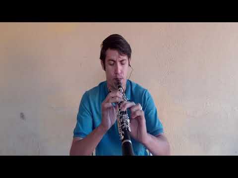 Hino 137 - Senhor Vem Selar- Nos(Com Playback)#paulinhoclarinetista #pavãobonito