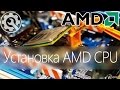 Как установить процессор AMD правильно самостоятельно AM3 / AM3+ / How to ...