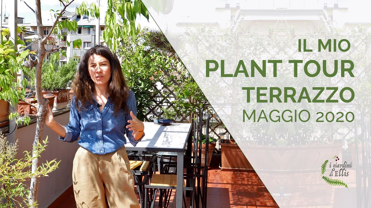Watch Now Il mio plant tour - Giro in terrazzo Il mio plant tour - Giro in terrazzo