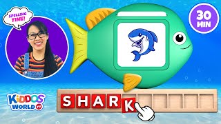 Sea Animal Spelling - Learning Sea Animal Names and Fun Facts With Miss V