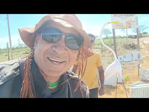 As benfeitorias chegando na estrada quem vai para cidade de Caetanos Bahia asfalto já chegou