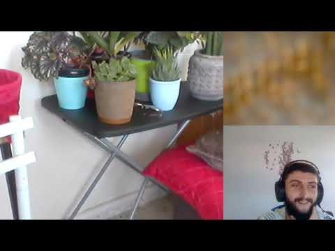 HIPNOZA REGRESIVA Eliberare Dora si dezmeticirea 344,A si C Moraru