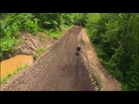 MERP GP BEANS MX Age Class