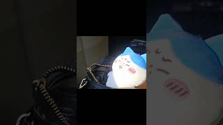【ハチワレ】Xでバズったポストが面白すぎたwww【アフレコ】