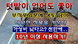 [텃밭농부 1,851]  텃밭이 없어도 좋아! 부직포화분에서 상토 넣고 다양한 작물을 재배한다. 지난해 사용…