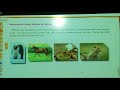 7. Sınıf  Fen ve Teknoloji Dersi  Bitki ve Hayvanlarda Üreme, Büyüme ve Gelişme 7. Sınıflar Fen Bilimleri Hayvanlarda Üreme, Büyüme ve Gelişme. konu anlatım videosunu izle