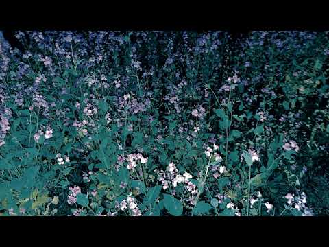 OUTBY16 - no time for consideration