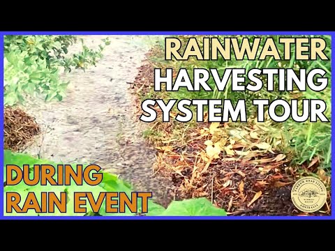 Full RAINWATER HARVESTING System TOUR DURING RAIN EVENT