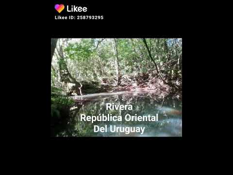Rivera paysajes y descubrimientos.