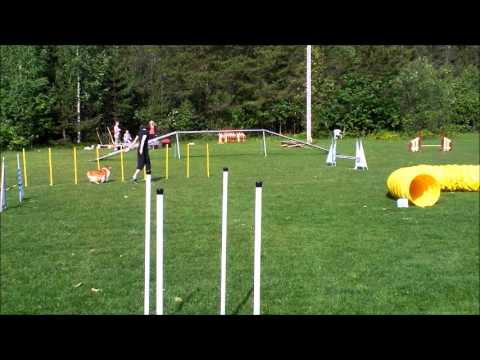 2012 06 24 Agilityträning Luna