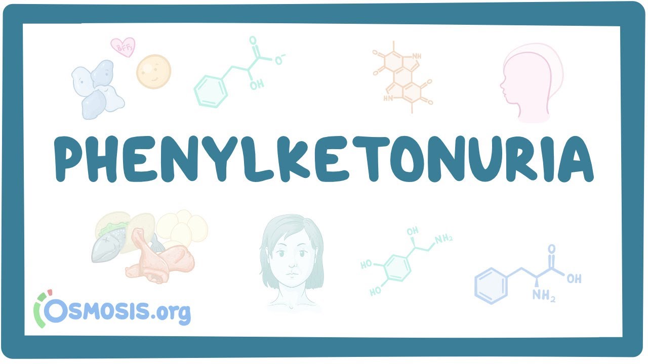 Phenylketonuria - causes, symptoms, diagnosis, treatment, pathology