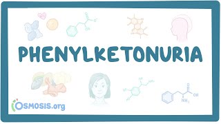 Download Lagu Phenylketonuria - causes, symptoms, diagnosis, treatment, pathology Thumbnail
