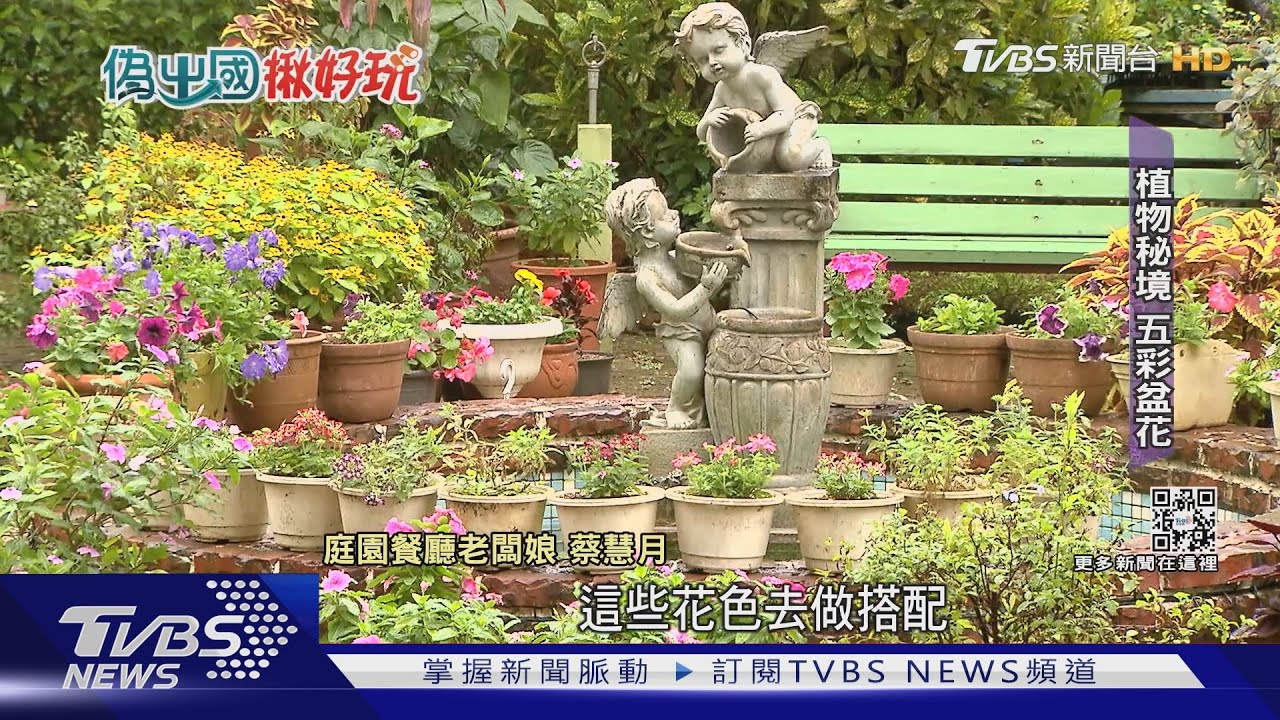 來這也能體驗「南歐風」! 阿勃勒、五彩草花邊吃邊賞眼福