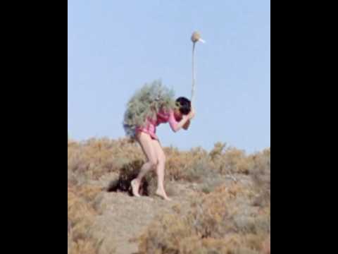 The Funniest Ostrich Attack Ever! | The Gods Must Be Crazy II (1989) Scene 🦵🥚