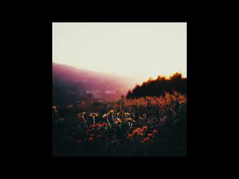 [FREE] Owen Midwest Emo Acoustic Type Beat "reconnecting after a while" - prod. Perry Pressey