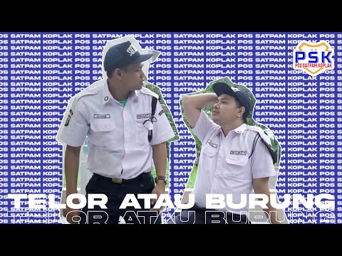 psk-telor-atau-burung