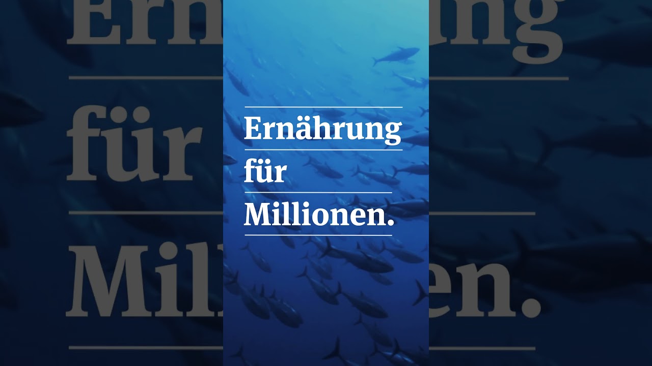 Thunfisch ist Nährstoffbooster für dich und die Weltbevölkerung 🐟🌏