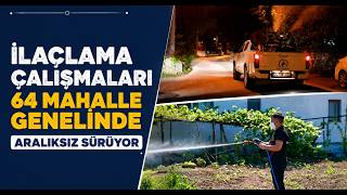 İlaçlama Çalışmaları 64 Mahalle Genelinde Aralıksız Sürüyor