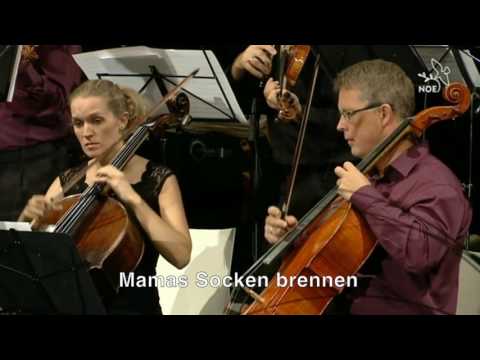 Oper zum Mitsingen: Wolfgang Amadeus Mozart - Voi che sapete (mit Untertiteln)