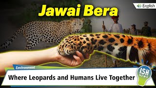 Jawai Bera: Where Leopards and Humans Live Together