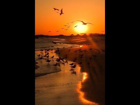 Florin Tutuianu - Zori de zi (Zora Je) - cover