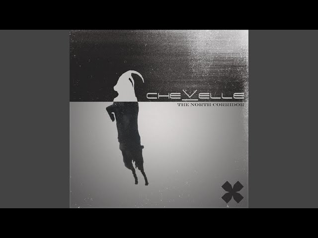 Chevelle: una mezcla poderosa de punk, metal y alternativo