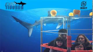 DIA 3 Expo Tiburon93