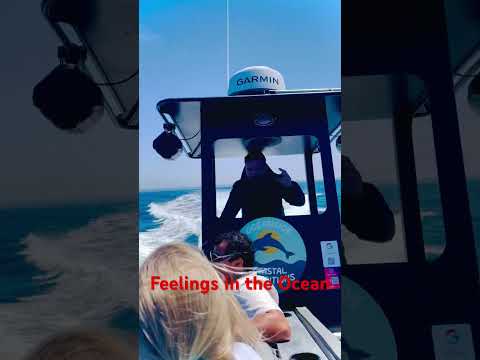 #californiacity #automobile #lifeisbutadream #musicgenre #travel #ihavethisthingwithplants #beach