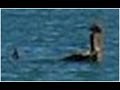 Loch Ness Monster Spotted In Australia 