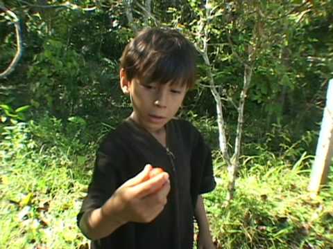 A gente luta  - Trailer / We struggle  (Ashaninka)