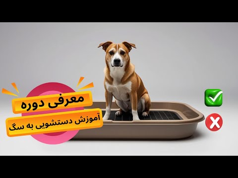 آموزش جای دستشویی به سگ به زبان ساده به زبان فارسی