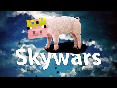 technoblade the responsible pet owner