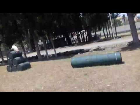 Jandarma mayın arama köpeği