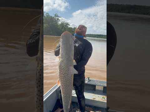 PESCARIA DE SURUBIM NO RIO PARACATU MINAS GERAIS 2026 -SURUBIM DE 30 KG